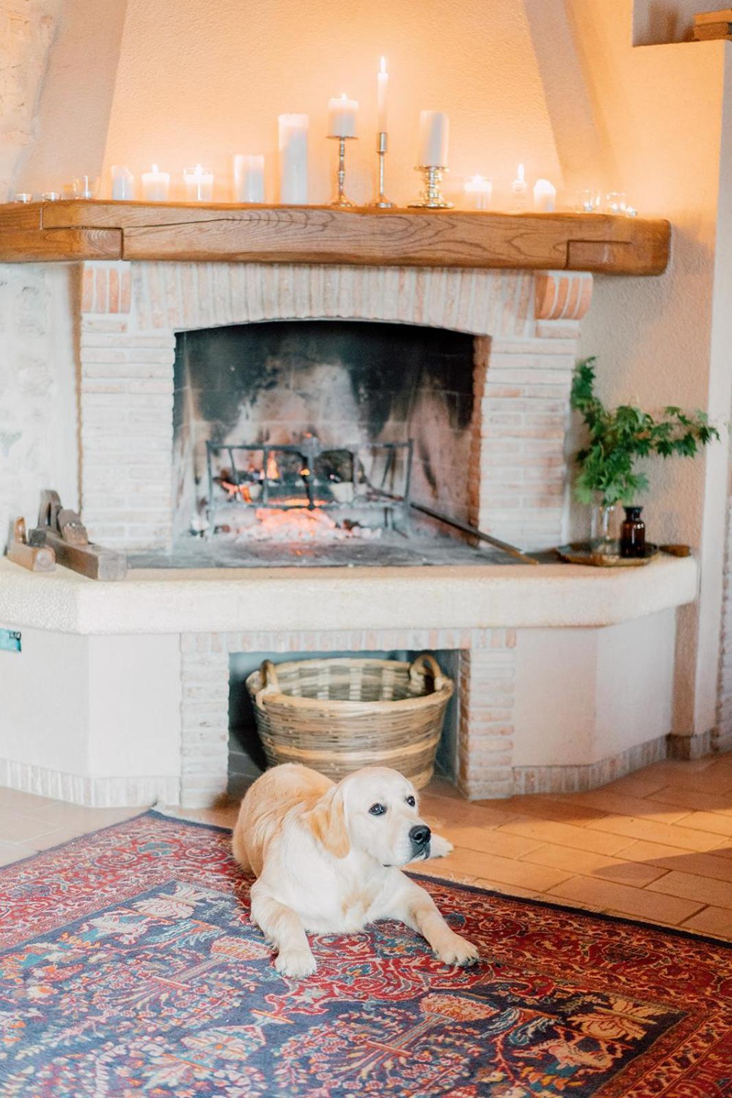 Agriturismo Il Conte Vassallo ミアーネ エクステリア 写真