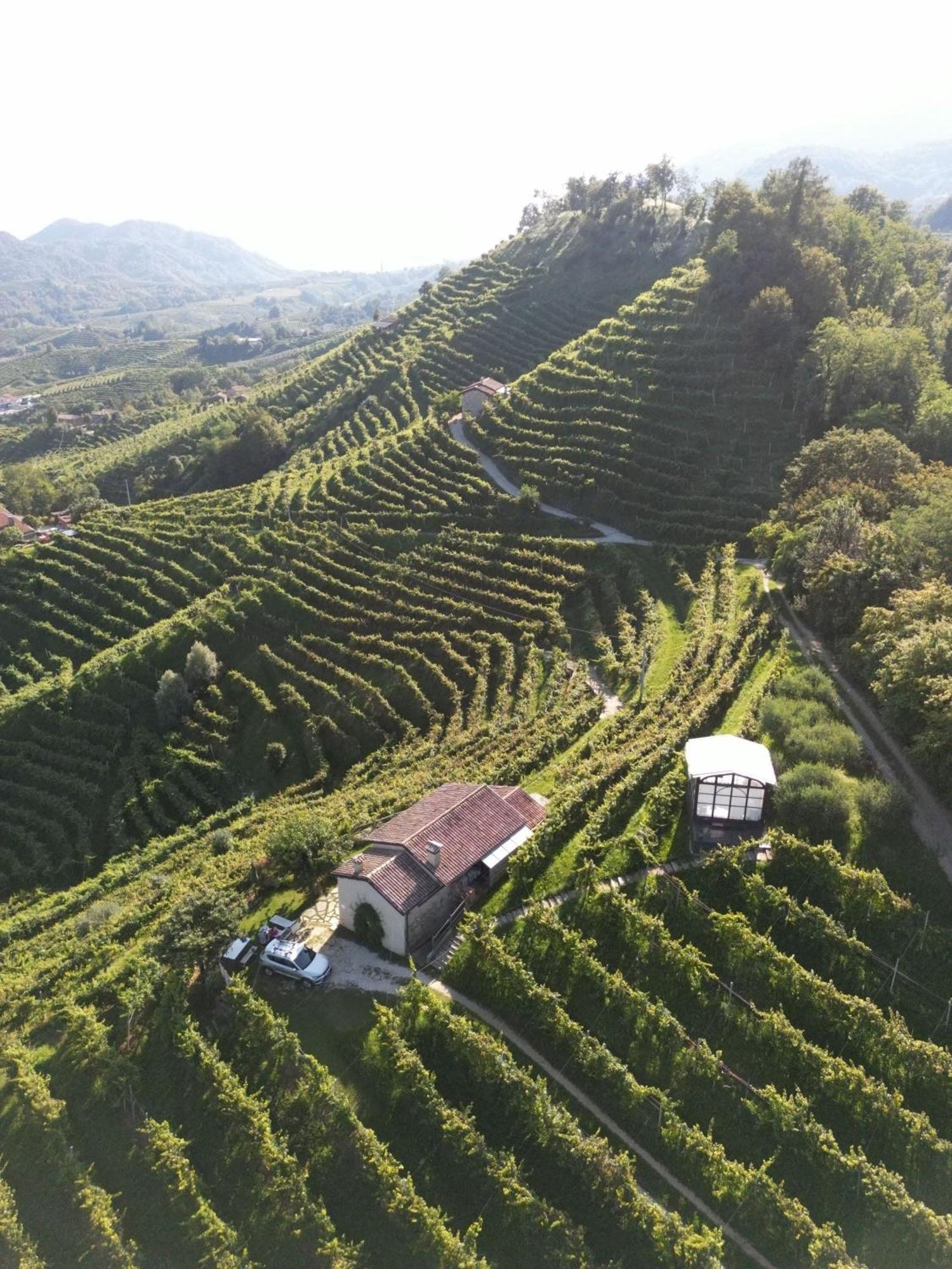 Agriturismo Il Conte Vassallo ミアーネ エクステリア 写真